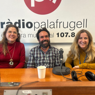 Salut a l'hivern: aliments, arbres i herbes que ens protegeixen