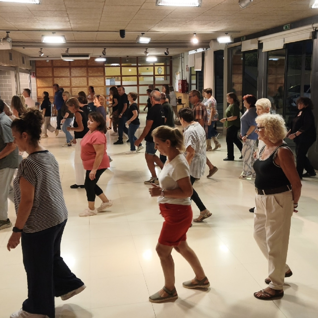 Line Dance Show cover