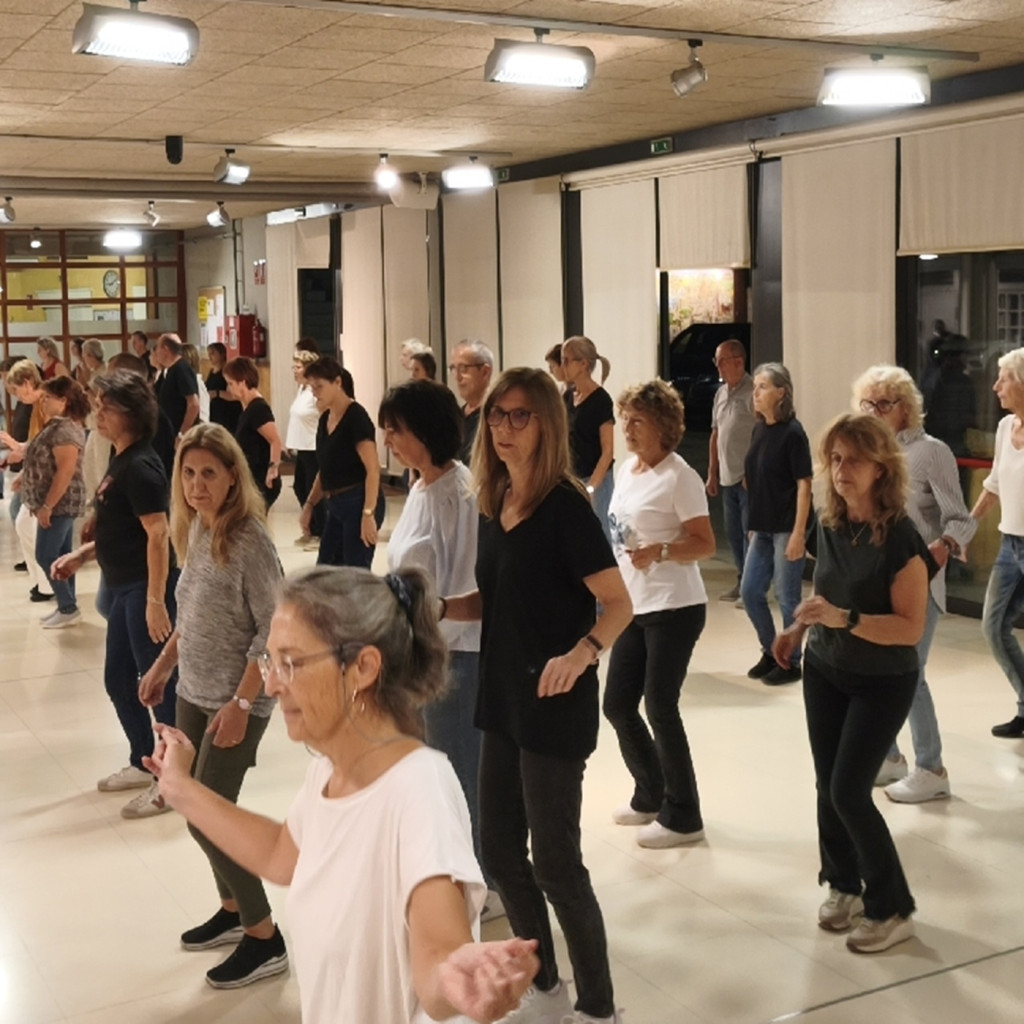 Line Dance Show cover