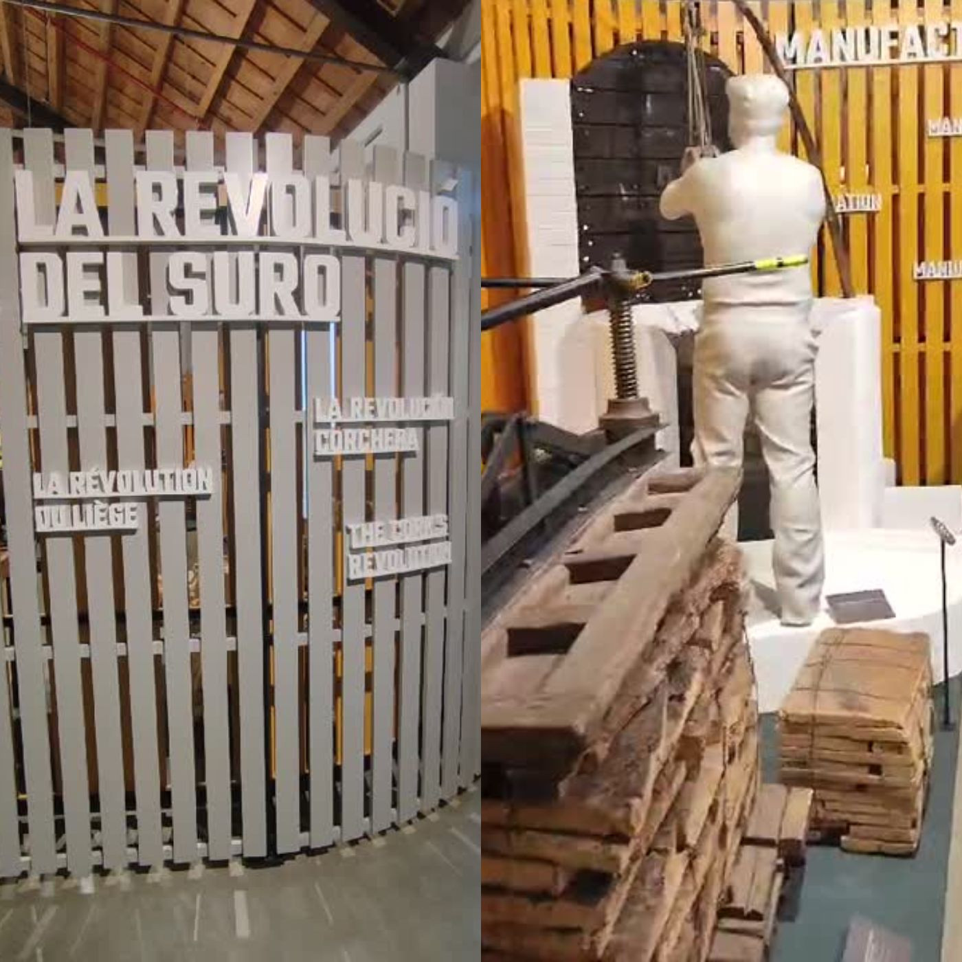 El Museu del Suro fa balanç de la celebració dels 50 anys i ens fa una visita a la nova exposició episode artwork