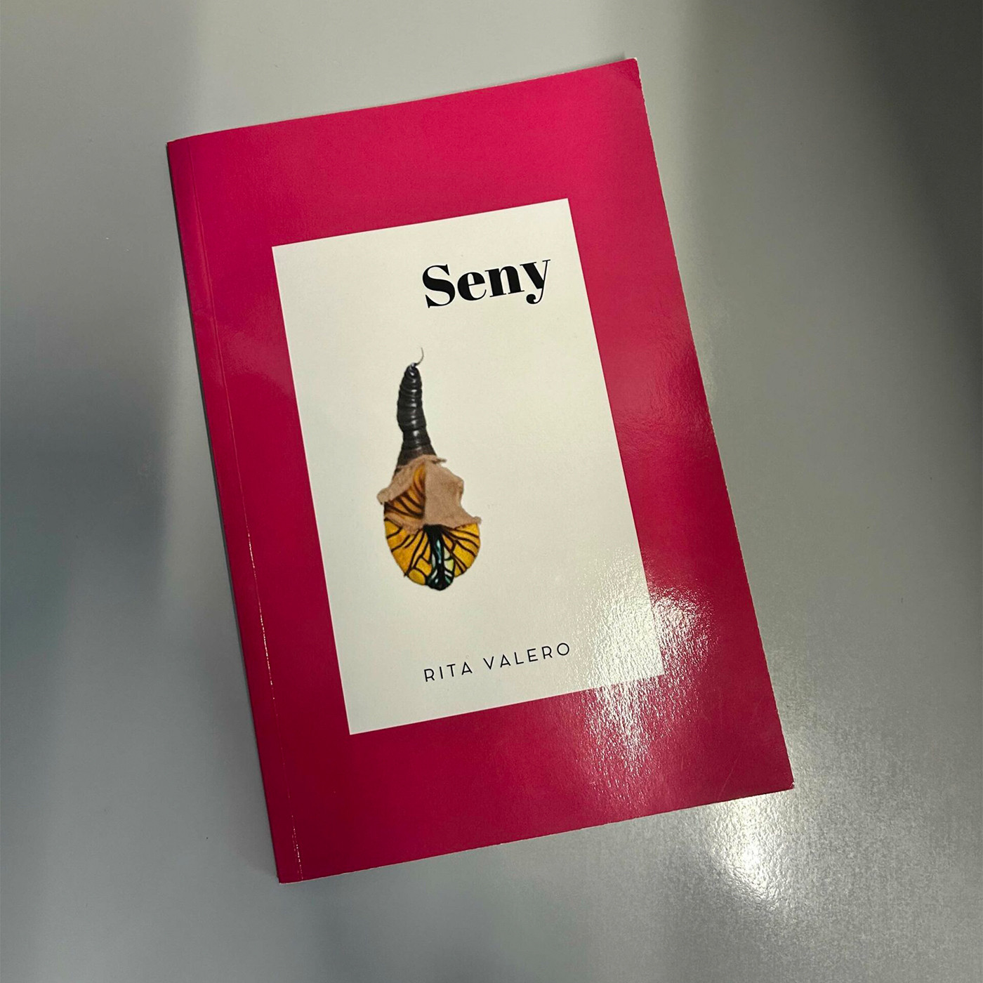 Rita Valero presenta el recull poètic "Seny" a l'auditori del Museu del Suro episode artwork