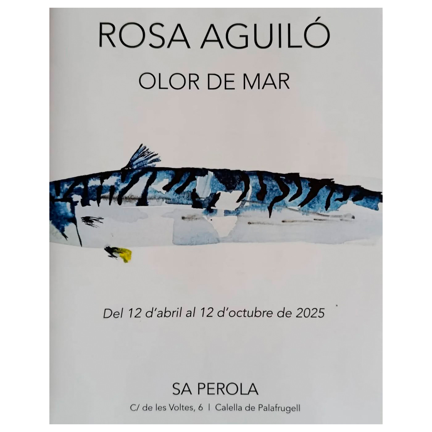 Rosa Aguiló inaugura "Olor de mar" a Sa Perola de Calella aquest dimarts episode artwork